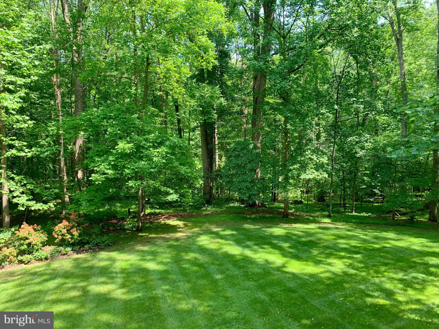 9090 EATON PARK RD, GREAT FALLS, Virginia 22066, 5 Bedrooms Bedrooms, ,5 BathroomsBathrooms,Residential,For sale,9090 EATON PARK RD,VAFX2241742 MLS # VAFX2241742