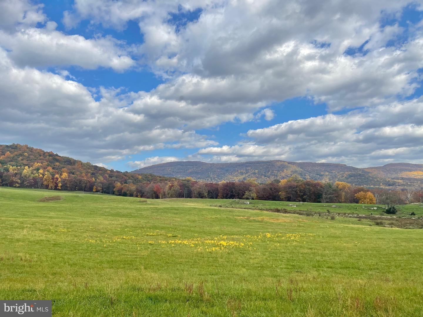 LOT 9 BUCK MOUNTAIN RD, BENTONVILLE, Virginia 22610, 3 Bedrooms Bedrooms, ,3 BathroomsBathrooms,Residential,For sale,LOT 9 BUCK MOUNTAIN RD,VAWR2011204 MLS # VAWR2011204