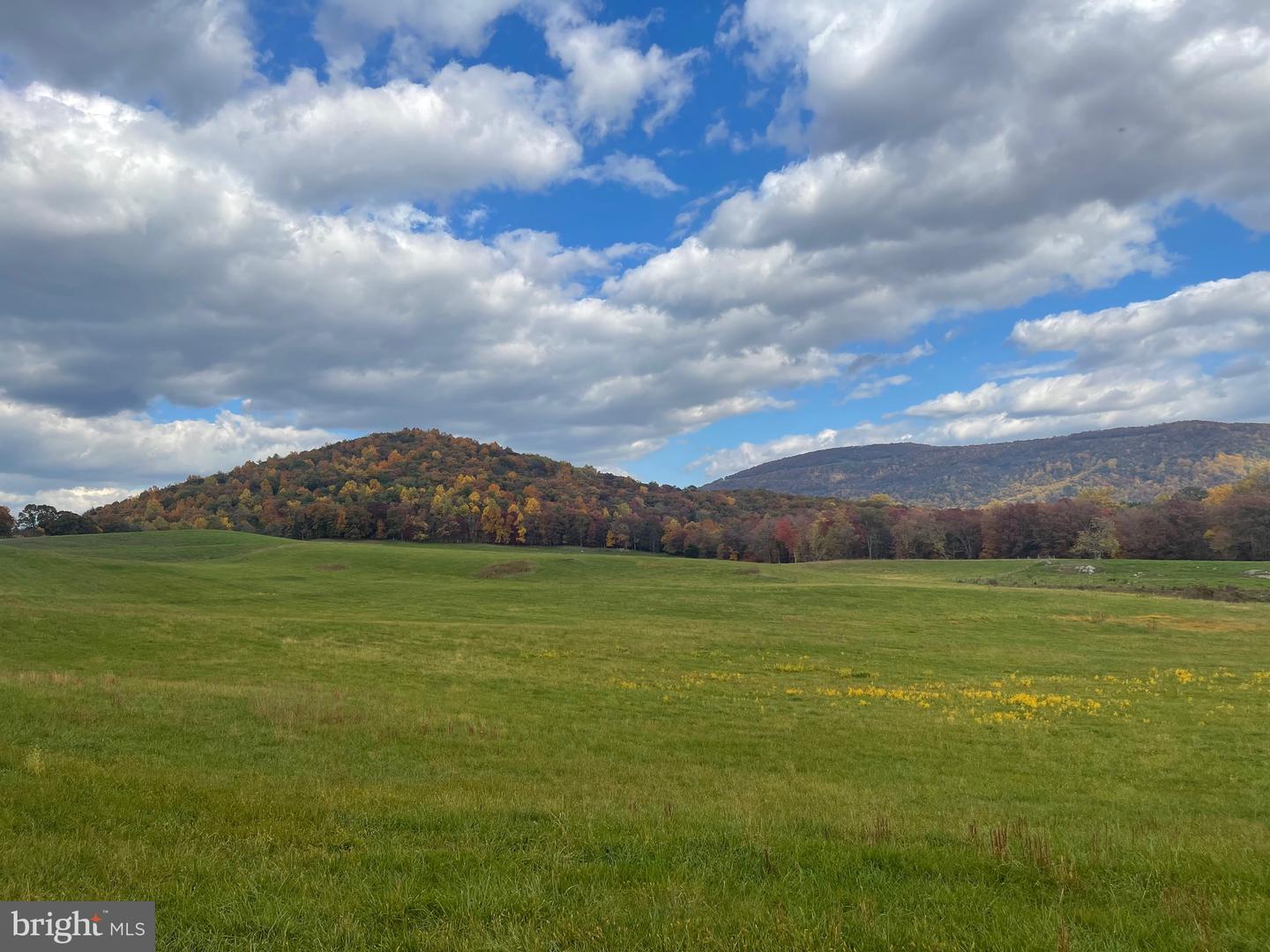 LOT 9 BUCK MOUNTAIN RD, BENTONVILLE, Virginia 22610, 3 Bedrooms Bedrooms, ,3 BathroomsBathrooms,Residential,For sale,LOT 9 BUCK MOUNTAIN RD,VAWR2011204 MLS # VAWR2011204