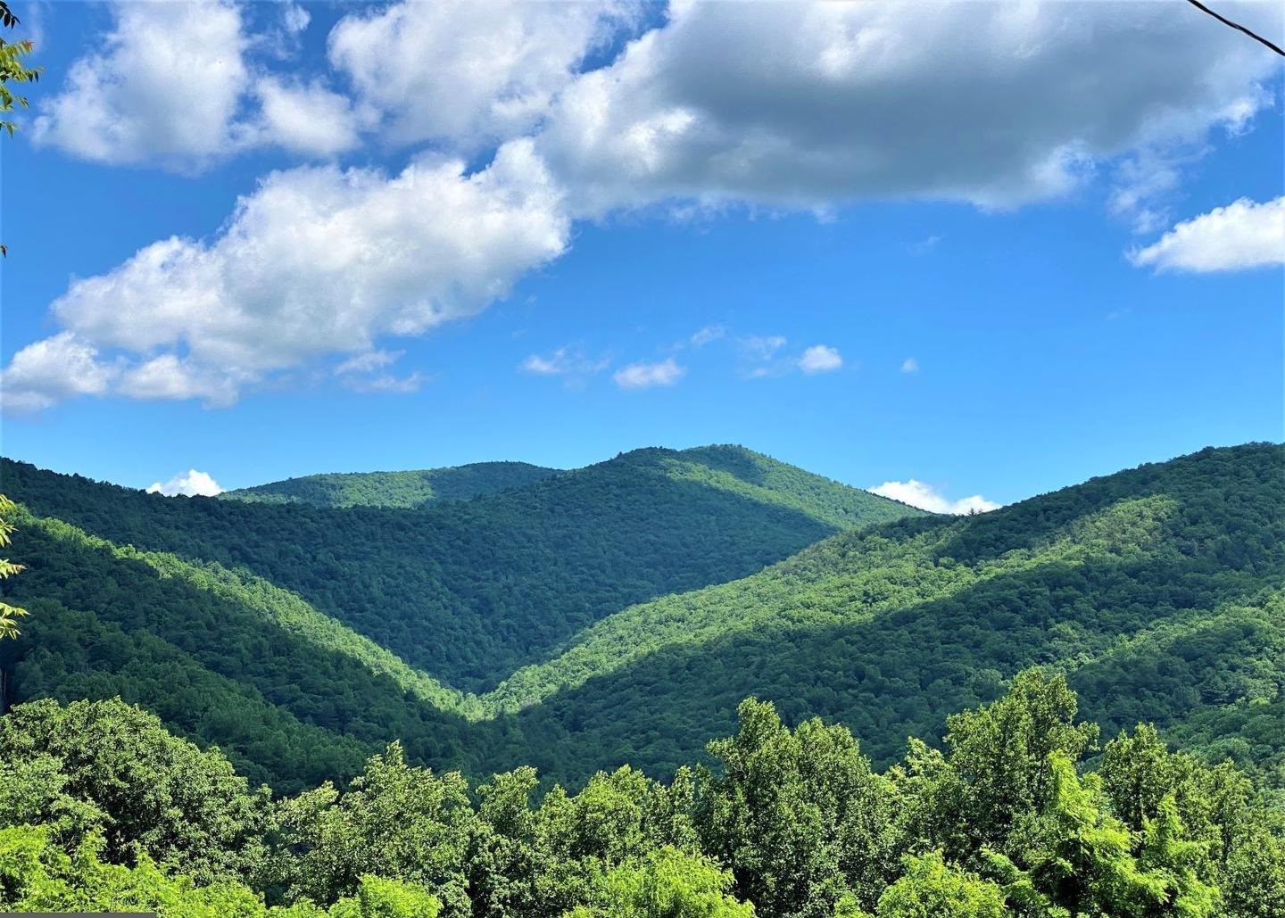 TBD OVERLOOK MOUNTAIN RD, ELKTON, Virginia 22827, ,Land,TBD OVERLOOK MOUNTAIN RD,664699 MLS # 664699