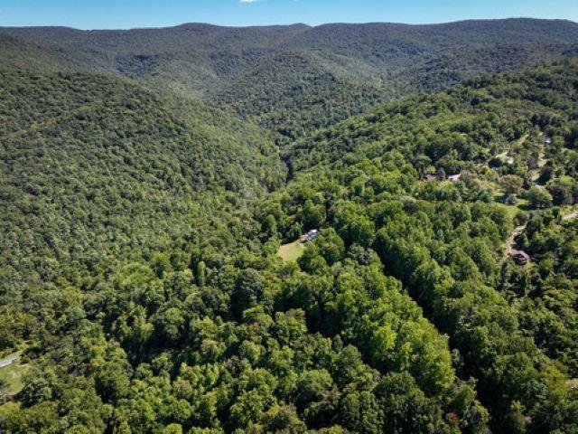 TBD OVERLOOK MOUNTAIN RD, ELKTON, Virginia 22827, ,Land,TBD OVERLOOK MOUNTAIN RD,664699 MLS # 664699