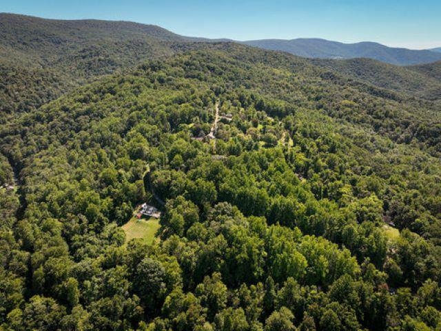 TBD OVERLOOK MOUNTAIN RD, ELKTON, Virginia 22827, ,Land,TBD OVERLOOK MOUNTAIN RD,664699 MLS # 664699