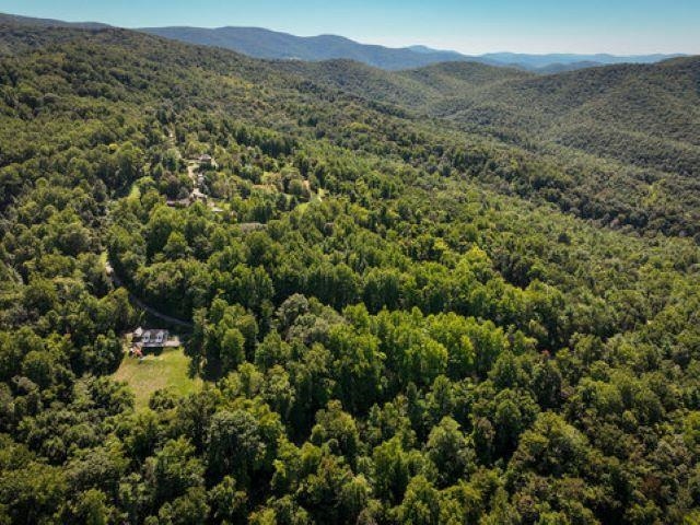 TBD OVERLOOK MOUNTAIN RD, ELKTON, Virginia 22827, ,Land,TBD OVERLOOK MOUNTAIN RD,664699 MLS # 664699