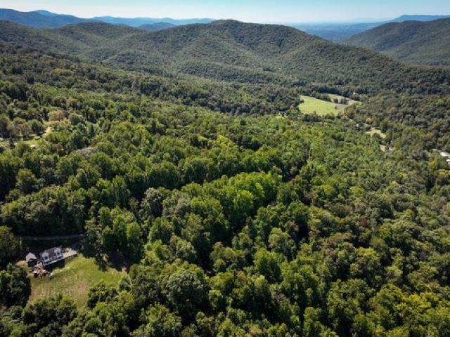 TBD OVERLOOK MOUNTAIN RD, ELKTON, Virginia 22827, ,Land,TBD OVERLOOK MOUNTAIN RD,664699 MLS # 664699