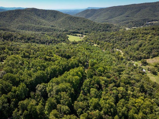 TBD OVERLOOK MOUNTAIN RD, ELKTON, Virginia 22827, ,Land,TBD OVERLOOK MOUNTAIN RD,664699 MLS # 664699