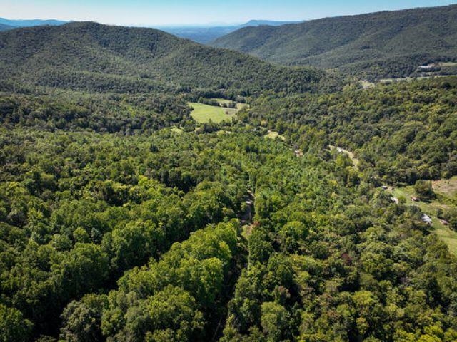 TBD OVERLOOK MOUNTAIN RD, ELKTON, Virginia 22827, ,Land,TBD OVERLOOK MOUNTAIN RD,664699 MLS # 664699