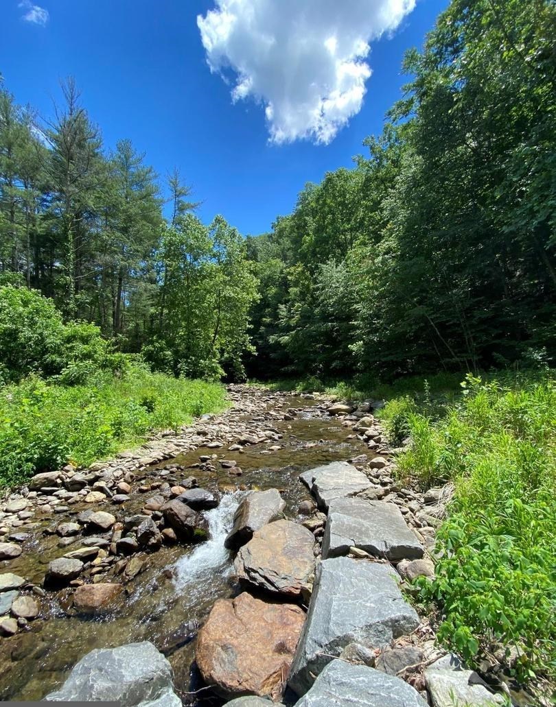 TBD OVERLOOK MOUNTAIN RD, ELKTON, Virginia 22827, ,Land,TBD OVERLOOK MOUNTAIN RD,664699 MLS # 664699