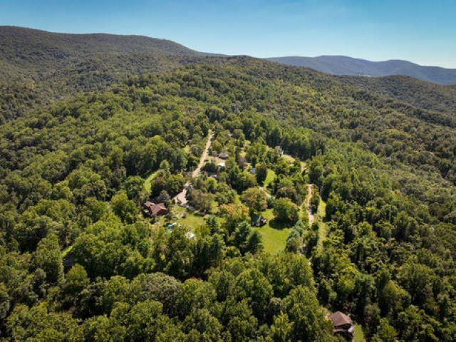 TBD OVERLOOK MOUNTAIN RD, ELKTON, Virginia 22827, ,Land,TBD OVERLOOK MOUNTAIN RD,664699 MLS # 664699