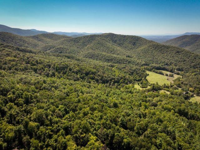 TBD OVERLOOK MOUNTAIN RD, ELKTON, Virginia 22827, ,Land,TBD OVERLOOK MOUNTAIN RD,664699 MLS # 664699