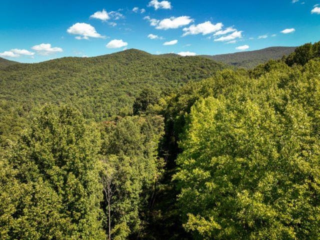 TBD OVERLOOK MOUNTAIN RD, ELKTON, Virginia 22827, ,Land,TBD OVERLOOK MOUNTAIN RD,664699 MLS # 664699