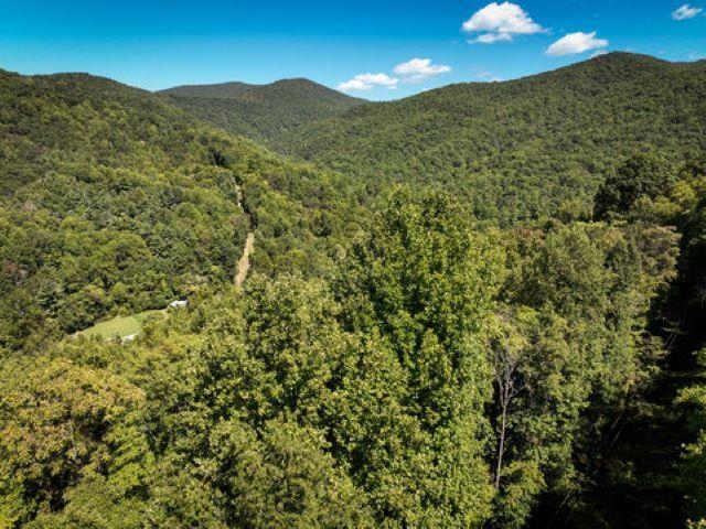 TBD OVERLOOK MOUNTAIN RD, ELKTON, Virginia 22827, ,Land,TBD OVERLOOK MOUNTAIN RD,664699 MLS # 664699