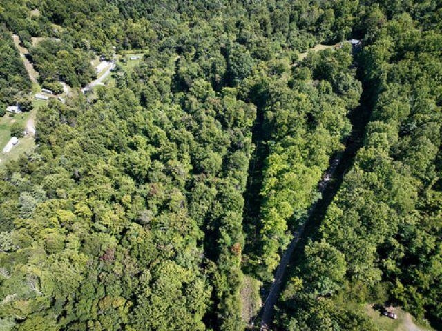 TBD OVERLOOK MOUNTAIN RD, ELKTON, Virginia 22827, ,Land,TBD OVERLOOK MOUNTAIN RD,664699 MLS # 664699