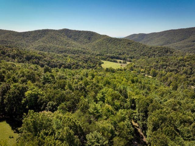 TBD OVERLOOK MOUNTAIN RD, ELKTON, Virginia 22827, ,Land,TBD OVERLOOK MOUNTAIN RD,664699 MLS # 664699