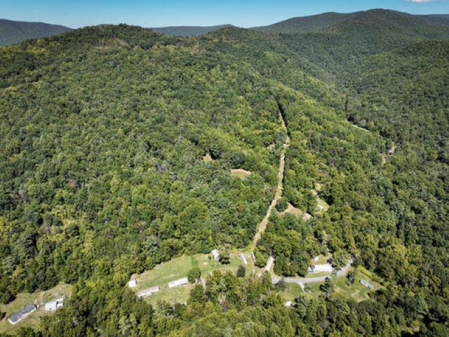 TBD OVERLOOK MOUNTAIN RD, ELKTON, Virginia 22827, ,Land,TBD OVERLOOK MOUNTAIN RD,664699 MLS # 664699