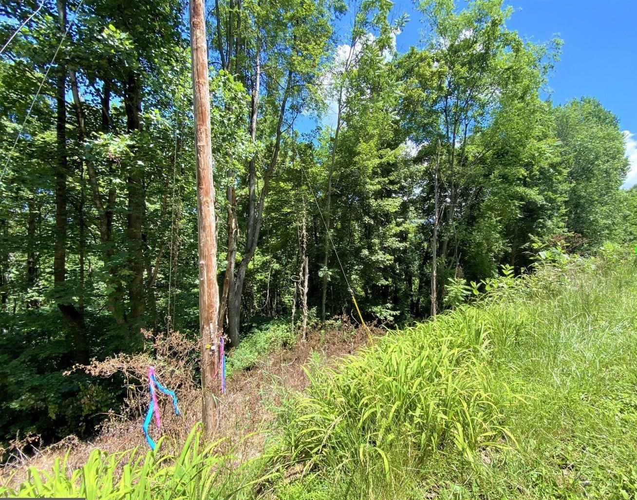 TBD OVERLOOK MOUNTAIN RD, ELKTON, Virginia 22827, ,Land,TBD OVERLOOK MOUNTAIN RD,664699 MLS # 664699