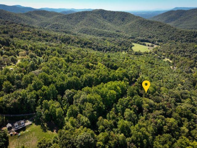 TBD OVERLOOK MOUNTAIN RD, ELKTON, Virginia 22827, ,Land,TBD OVERLOOK MOUNTAIN RD,664699 MLS # 664699