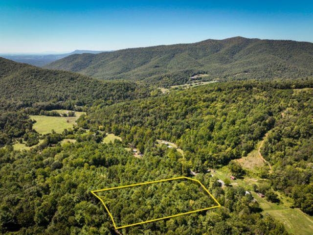 TBD OVERLOOK MOUNTAIN RD, ELKTON, Virginia 22827, ,Land,TBD OVERLOOK MOUNTAIN RD,664699 MLS # 664699