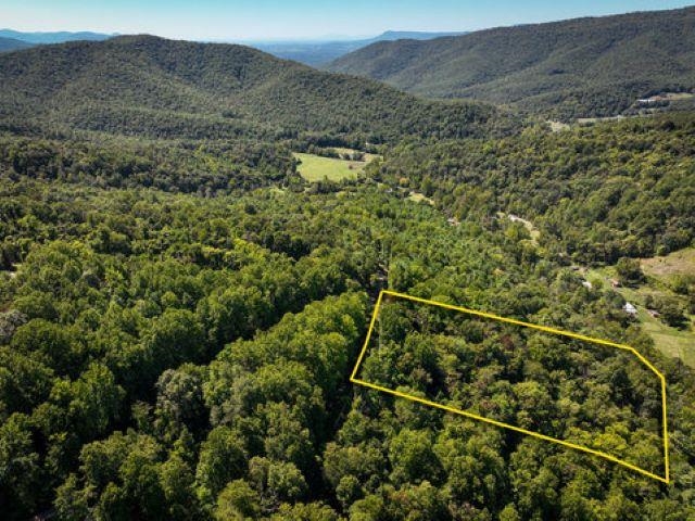 TBD OVERLOOK MOUNTAIN RD, ELKTON, Virginia 22827, ,Land,TBD OVERLOOK MOUNTAIN RD,664699 MLS # 664699