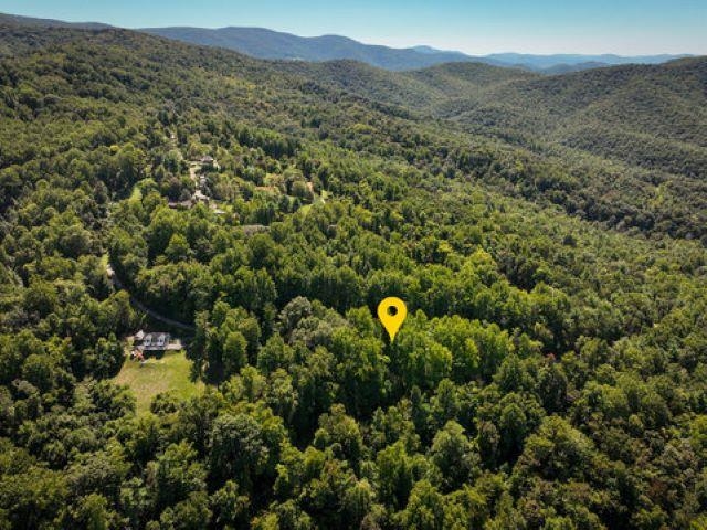 TBD OVERLOOK MOUNTAIN RD, ELKTON, Virginia 22827, ,Land,TBD OVERLOOK MOUNTAIN RD,664699 MLS # 664699