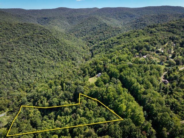 TBD OVERLOOK MOUNTAIN RD, ELKTON, Virginia 22827, ,Land,TBD OVERLOOK MOUNTAIN RD,664699 MLS # 664699