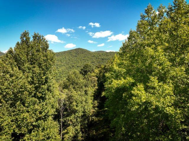 TBD OVERLOOK MOUNTAIN RD, ELKTON, Virginia 22827, ,Land,TBD OVERLOOK MOUNTAIN RD,664699 MLS # 664699