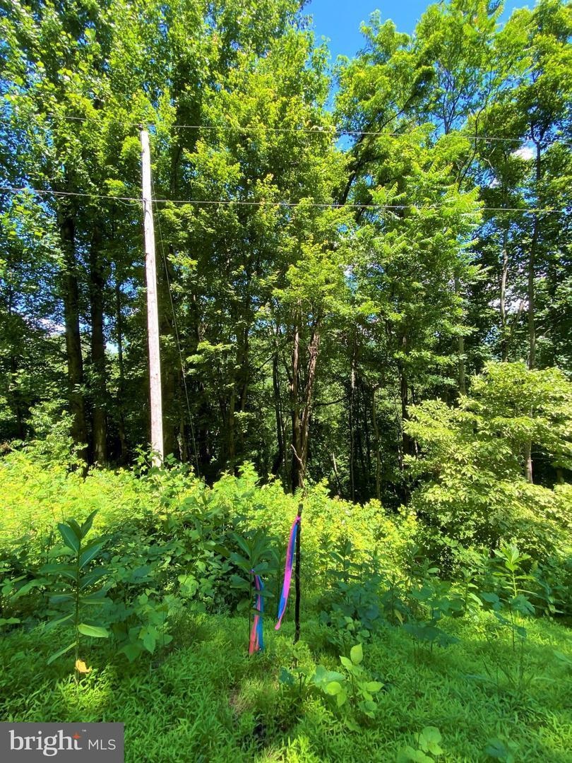 TBD OVERLOOK MOUNTAIN RD, ELKTON, Virginia 22827, ,Land,TBD OVERLOOK MOUNTAIN RD,664699 MLS # 664699