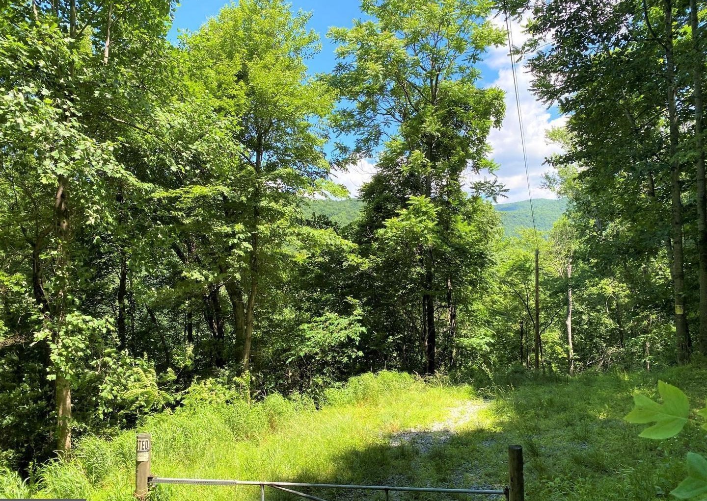 TBD OVERLOOK MOUNTAIN RD, ELKTON, Virginia 22827, ,Land,TBD OVERLOOK MOUNTAIN RD,664699 MLS # 664699