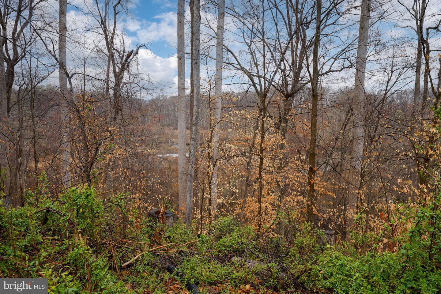 438 BRENTHEM FARM DR, FREDERICKSBURG, Virginia 22405, 4 Bedrooms Bedrooms, ,3 BathroomsBathrooms,Residential,For sale,438 BRENTHEM FARM DR,VAST2036824 MLS # VAST2036824