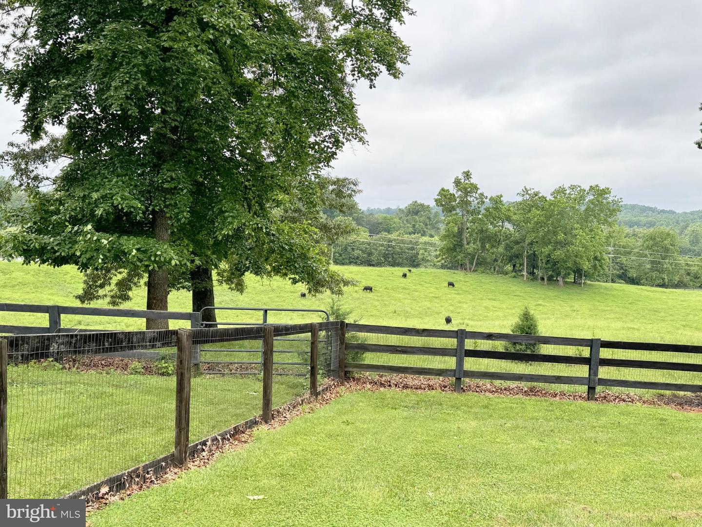 325 ONEALS RD, MADISON, Virginia 22727, 4 Bedrooms Bedrooms, ,4 BathroomsBathrooms,Residential,For sale,325 ONEALS RD,VAMA2002184 MLS # VAMA2002184