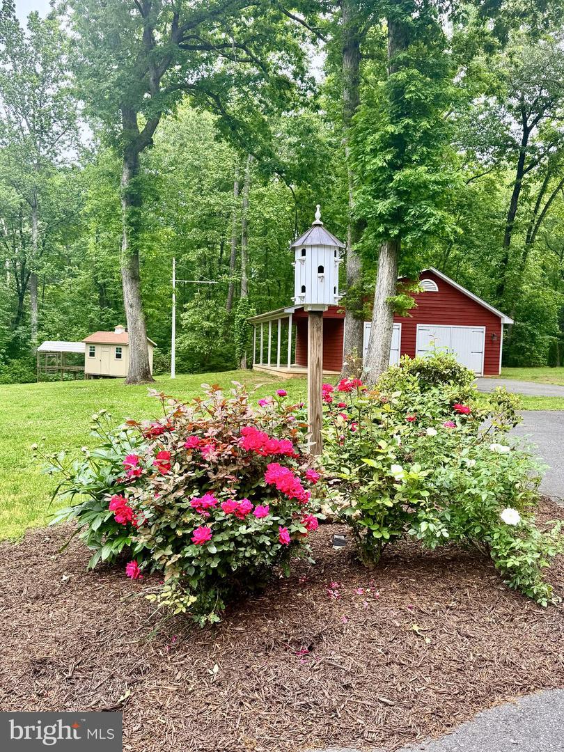 325 ONEALS RD, MADISON, Virginia 22727, 4 Bedrooms Bedrooms, ,4 BathroomsBathrooms,Residential,For sale,325 ONEALS RD,VAMA2002184 MLS # VAMA2002184