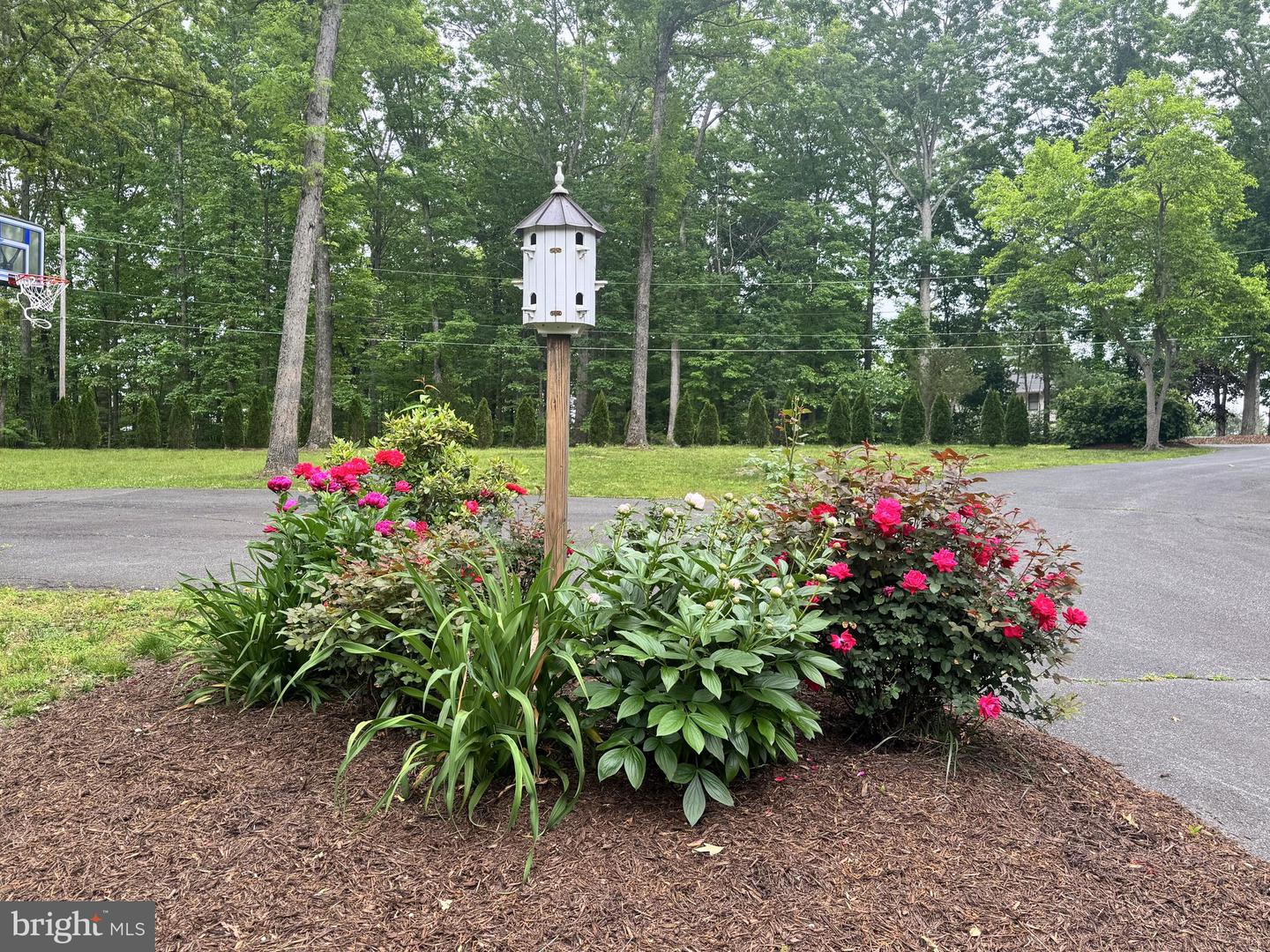 325 ONEALS RD, MADISON, Virginia 22727, 4 Bedrooms Bedrooms, ,4 BathroomsBathrooms,Residential,For sale,325 ONEALS RD,VAMA2002184 MLS # VAMA2002184