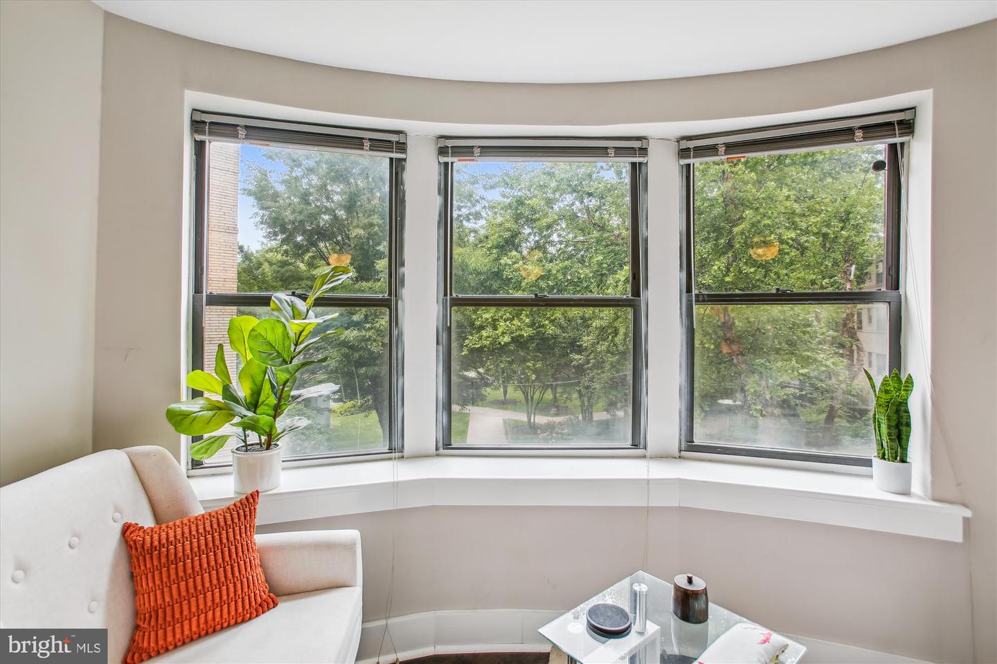 212 OAKWOOD ST SE #211, WASHINGTON, District Of Columbia 20032, 1 Bedroom Bedrooms, ,1 BathroomBathrooms,Residential,For sale,212 OAKWOOD ST SE #211,DCDC2201446 MLS # DCDC2201446