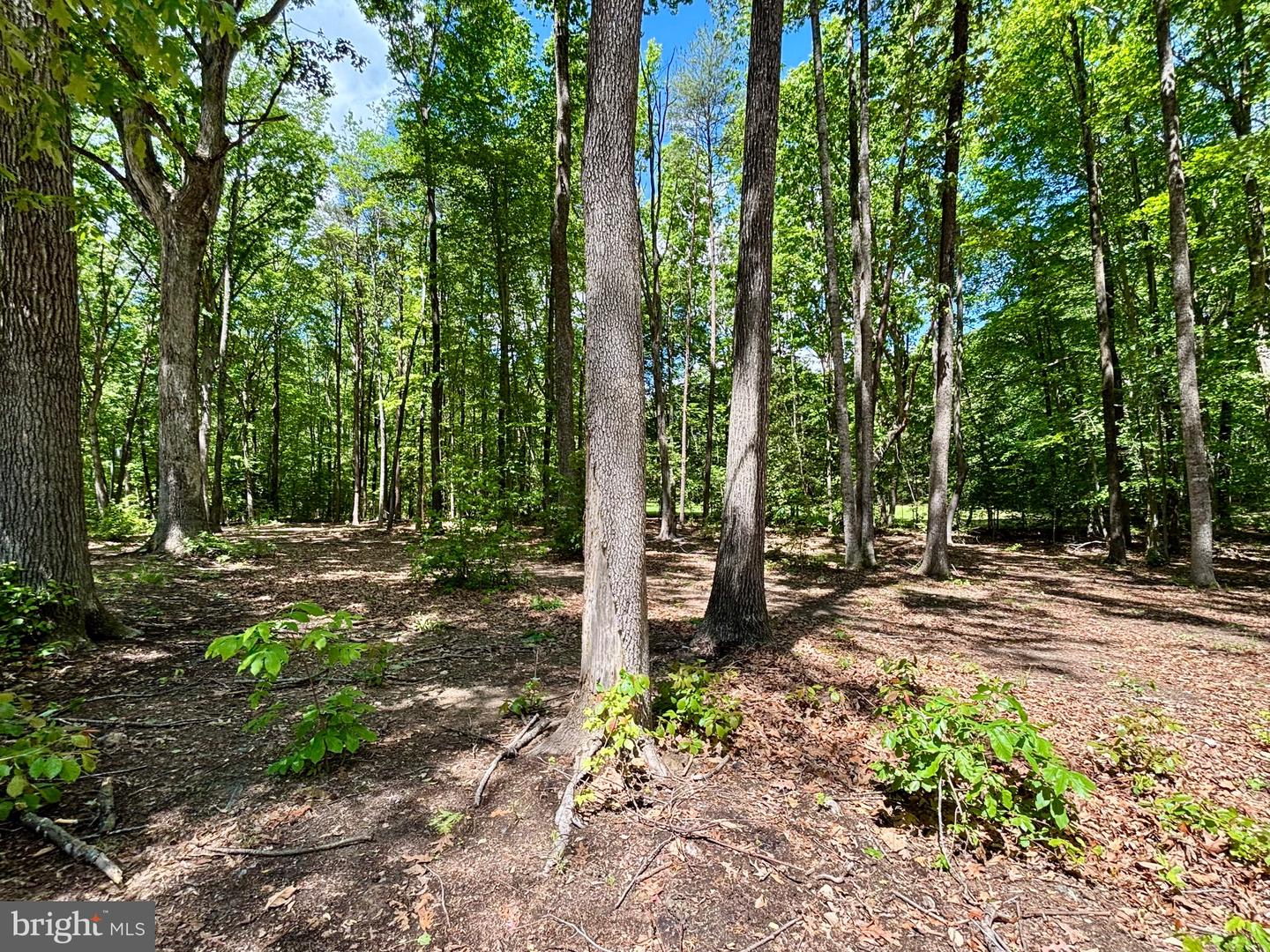 176 EMBREY MILL RD, STAFFORD, Virginia 22554, 4 Bedrooms Bedrooms, ,2 BathroomsBathrooms,Residential,For sale,176 EMBREY MILL RD,VAST2038384 MLS # VAST2038384