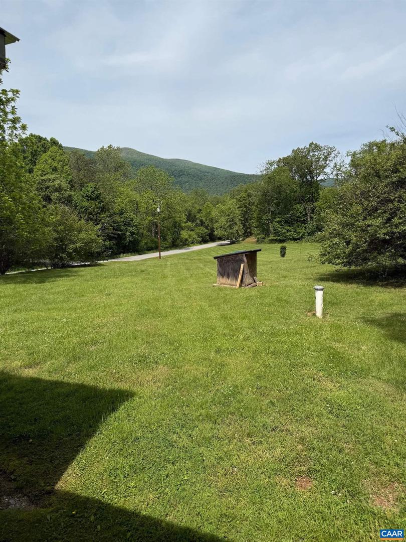 240 BLUNDELL HOLLOW RD, AFTON, Virginia 22920, ,Land,For sale,240 BLUNDELL HOLLOW RD,662394 MLS # 662394