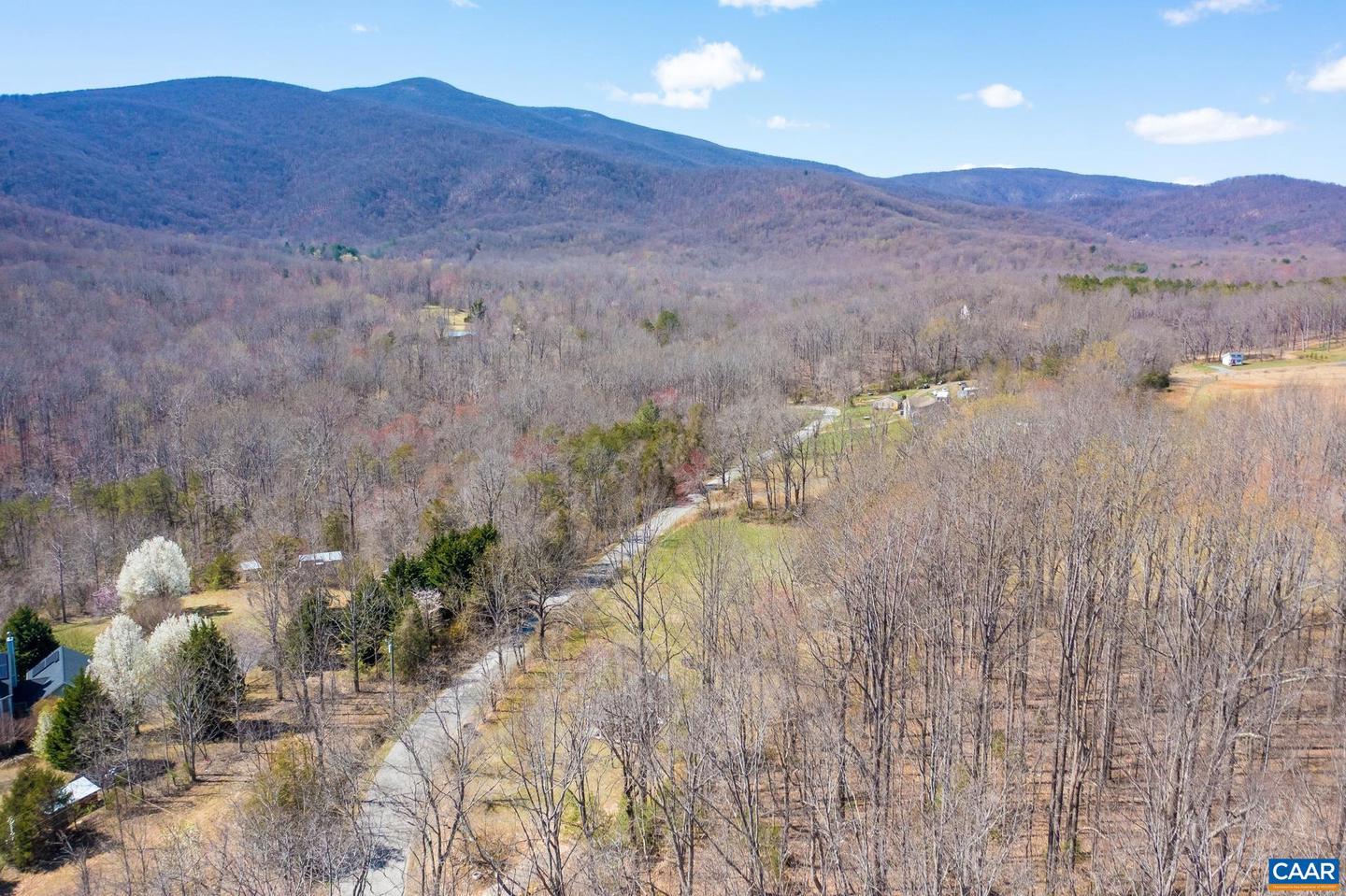 240 BLUNDELL HOLLOW RD, AFTON, Virginia 22920, ,Land,For sale,240 BLUNDELL HOLLOW RD,662394 MLS # 662394