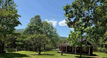 240 BLUNDELL HOLLOW RD, AFTON, Virginia 22920, ,Land,For sale,240 BLUNDELL HOLLOW RD,662394 MLS # 662394