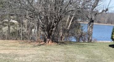 FAIRWAY, CULPEPER, Virginia 22701, ,Land,For sale,FAIRWAY,VACU2010238 MLS # VACU2010238