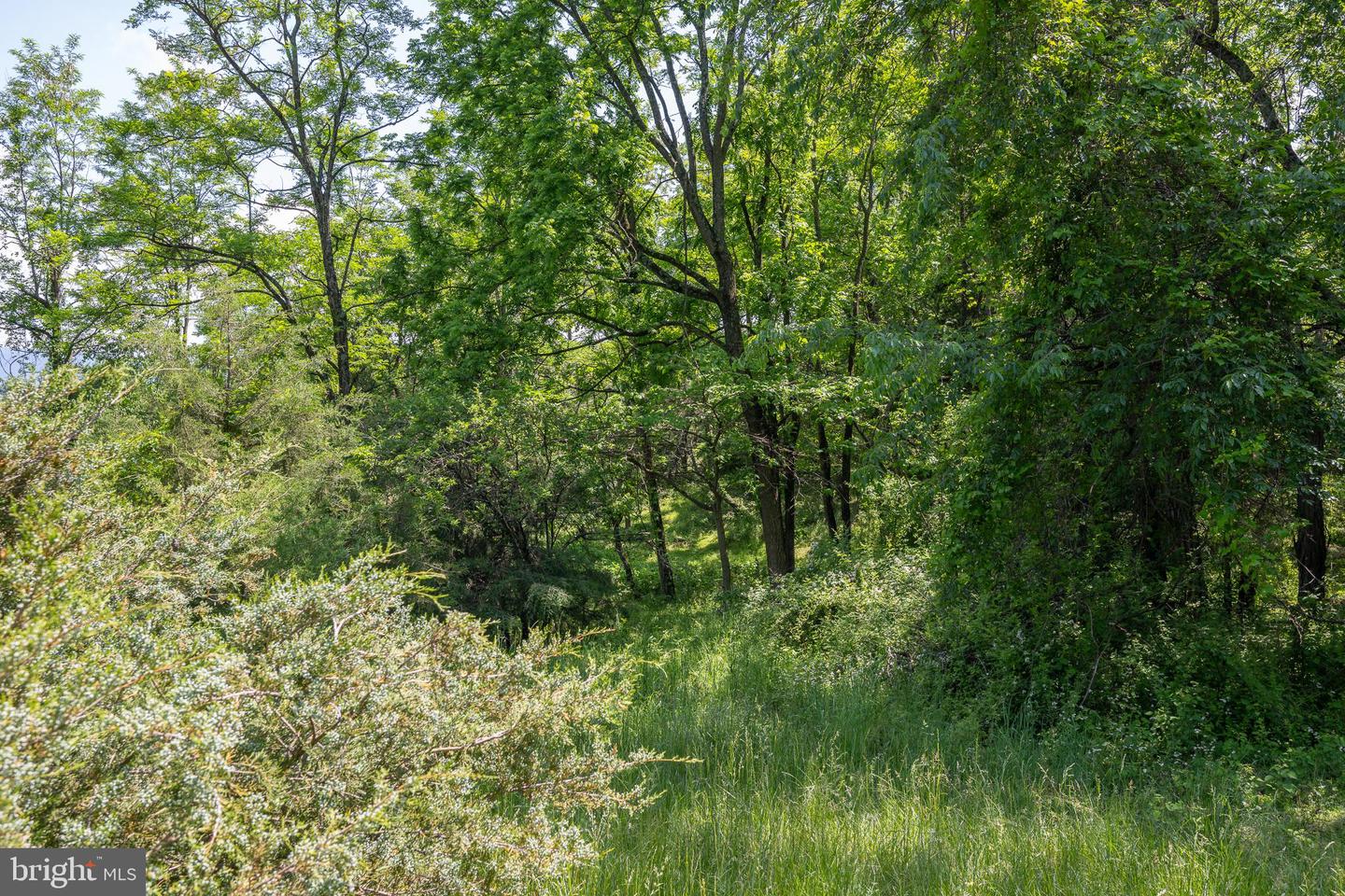 FLAT ROCK ROAD, NEW MARKET, Virginia 22844, ,Land,For sale,FLAT ROCK ROAD,VASH2011484 MLS # VASH2011484