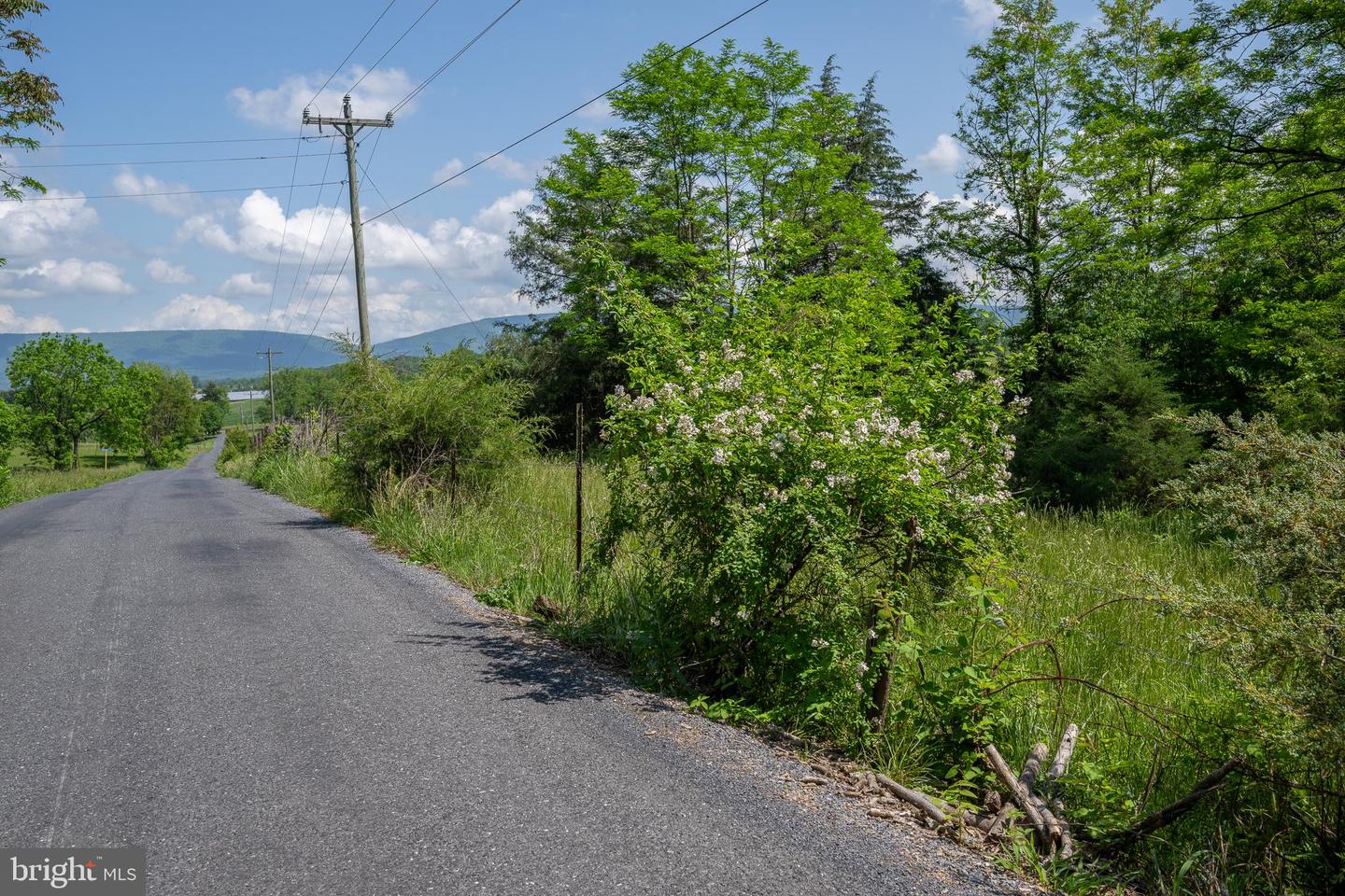 FLAT ROCK ROAD, NEW MARKET, Virginia 22844, ,Land,For sale,FLAT ROCK ROAD,VASH2011484 MLS # VASH2011484