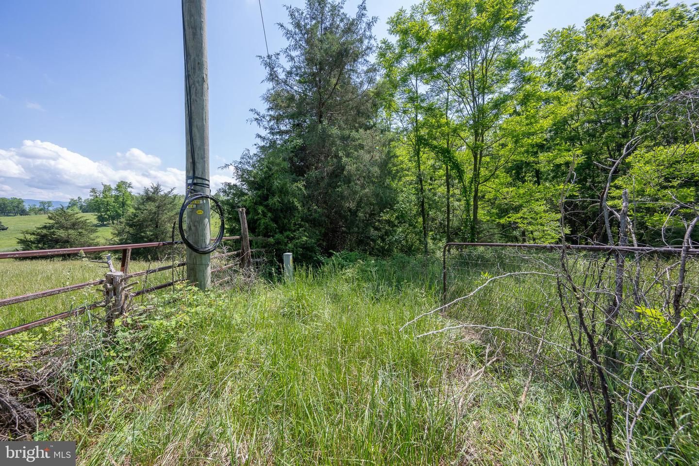 FLAT ROCK ROAD, NEW MARKET, Virginia 22844, ,Land,For sale,FLAT ROCK ROAD,VASH2011484 MLS # VASH2011484