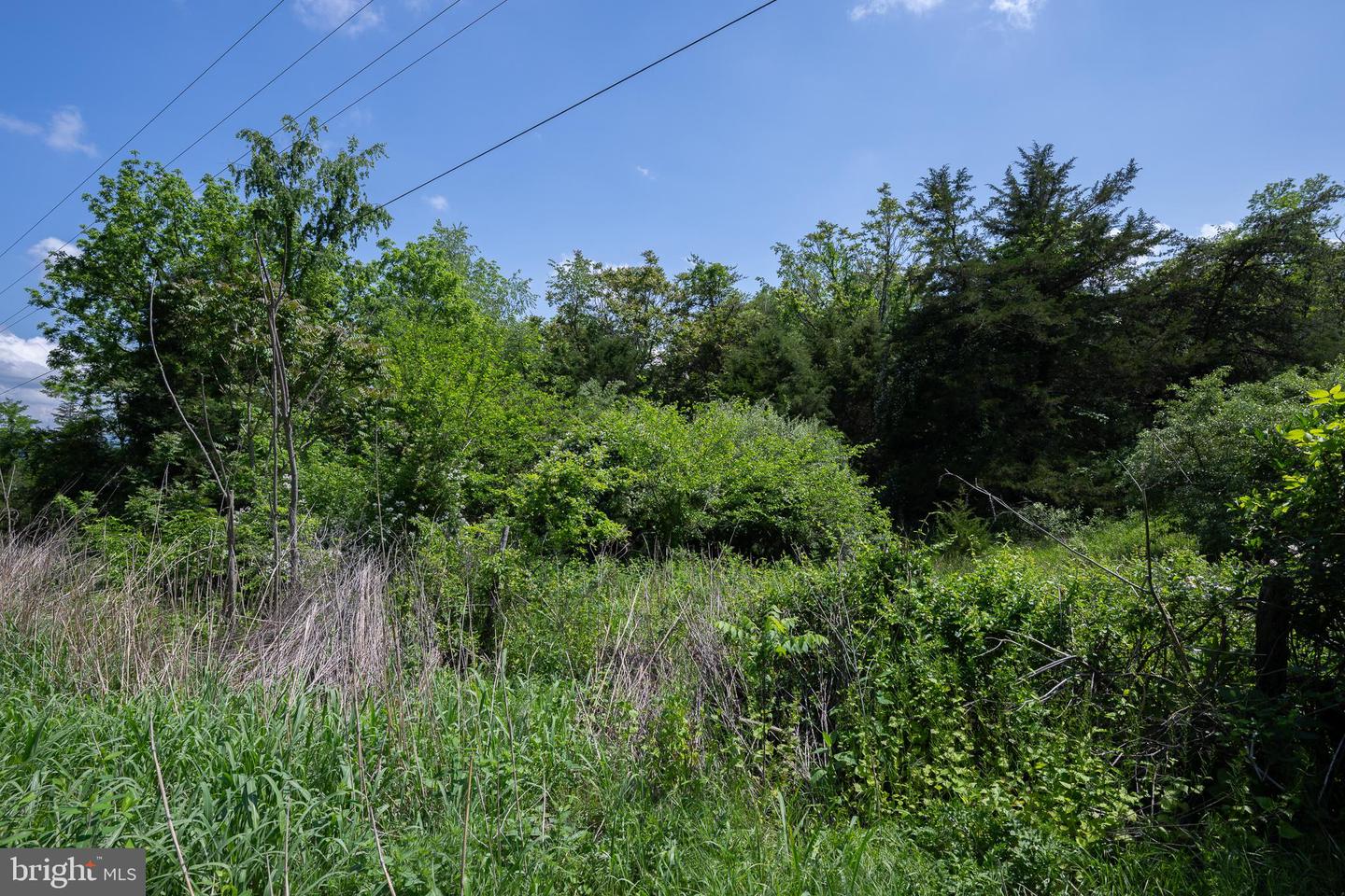FLAT ROCK ROAD, NEW MARKET, Virginia 22844, ,Land,For sale,FLAT ROCK ROAD,VASH2011484 MLS # VASH2011484