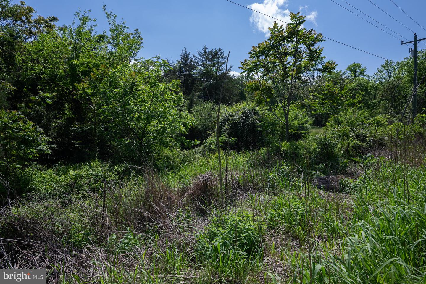 FLAT ROCK ROAD, NEW MARKET, Virginia 22844, ,Land,For sale,FLAT ROCK ROAD,VASH2011484 MLS # VASH2011484
