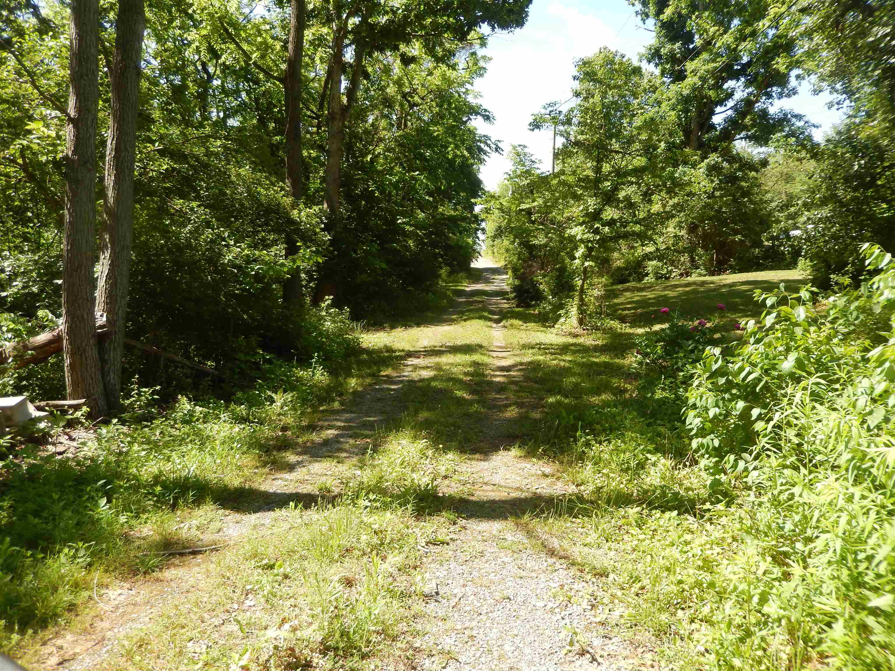 000 MT PARAN CHURCH RD, ELKTON, Virginia 22827, ,Land,000 MT PARAN CHURCH RD,664715 MLS # 664715