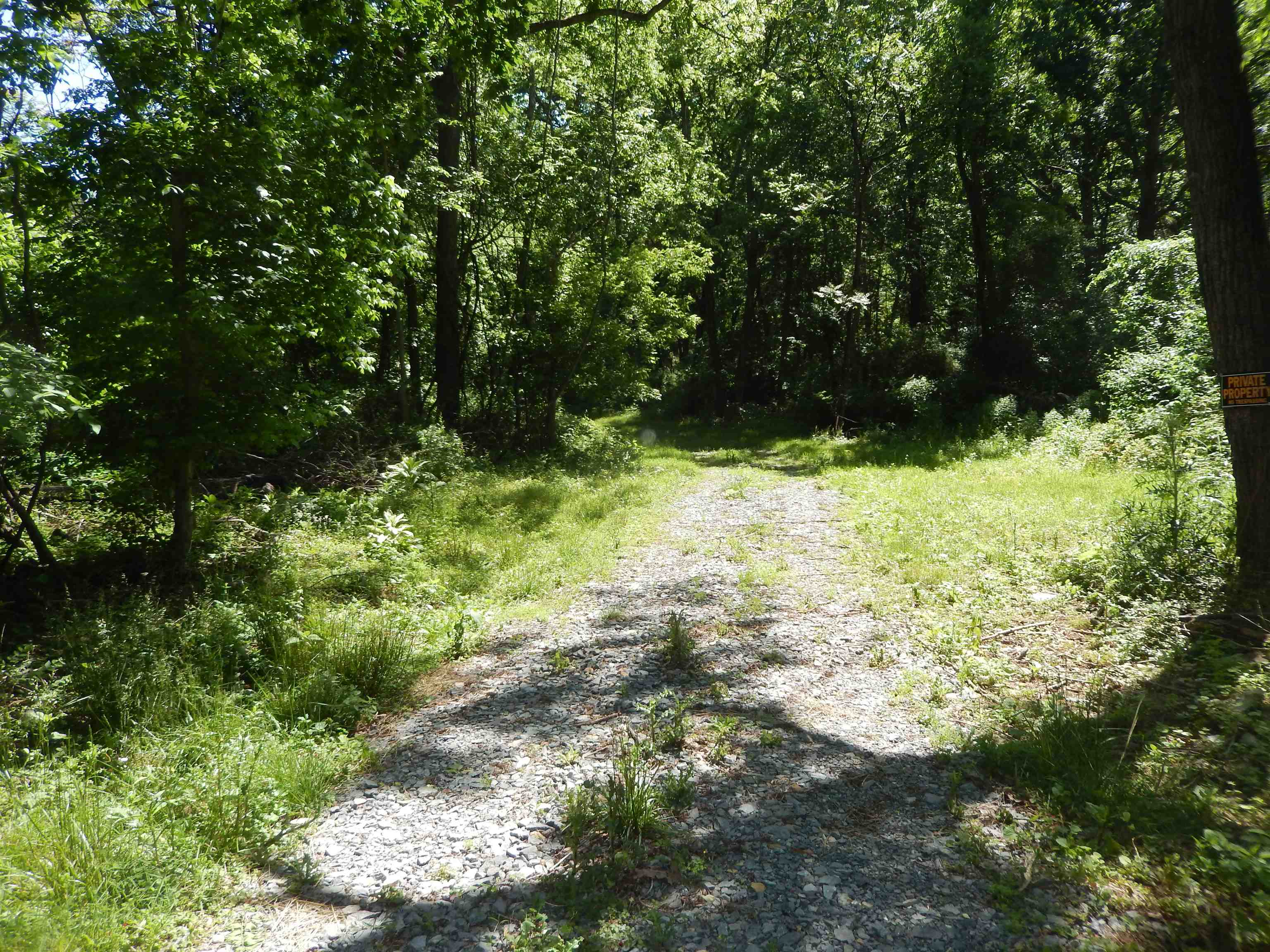 000 MT PARAN CHURCH RD, ELKTON, Virginia 22827, ,Land,000 MT PARAN CHURCH RD,664715 MLS # 664715