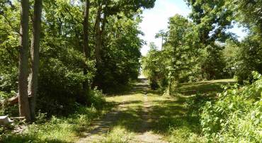 000 MT PARAN CHURCH RD, ELKTON, Virginia 22827, ,Land,000 MT PARAN CHURCH RD,664715 MLS # 664715