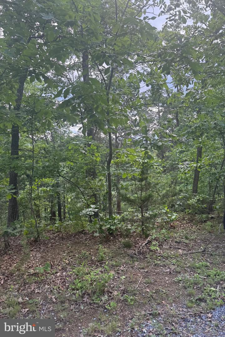 0 RIVER RIDGE DR, MIDDLETOWN, Virginia 22645, ,Land,For sale,0 RIVER RIDGE DR,VAWR2011208 MLS # VAWR2011208 0 RIVER RIDGE DR, MIDDLETOWN, Virginia 22645, ,Land,For sale,0 RIVER RIDGE DR,VAWR2011208 MLS # VAWR2011208