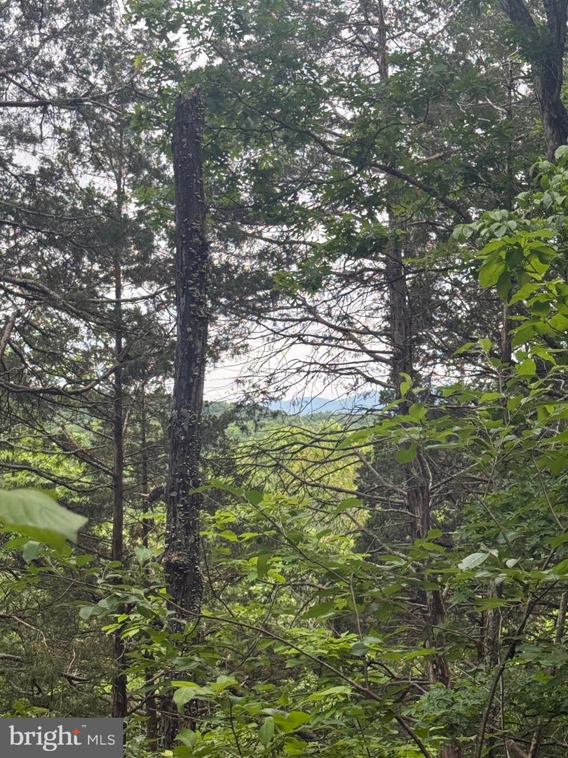 0 RIVER RIDGE DR, MIDDLETOWN, Virginia 22645, ,Land,For sale,0 RIVER RIDGE DR,VAWR2011208 MLS # VAWR2011208 0 RIVER RIDGE DR, MIDDLETOWN, Virginia 22645, ,Land,For sale,0 RIVER RIDGE DR,VAWR2011208 MLS # VAWR2011208