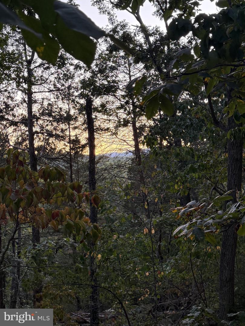 0 RIVER RIDGE DR, MIDDLETOWN, Virginia 22645, ,Land,For sale,0 RIVER RIDGE DR,VAWR2011208 MLS # VAWR2011208 0 RIVER RIDGE DR, MIDDLETOWN, Virginia 22645, ,Land,For sale,0 RIVER RIDGE DR,VAWR2011208 MLS # VAWR2011208