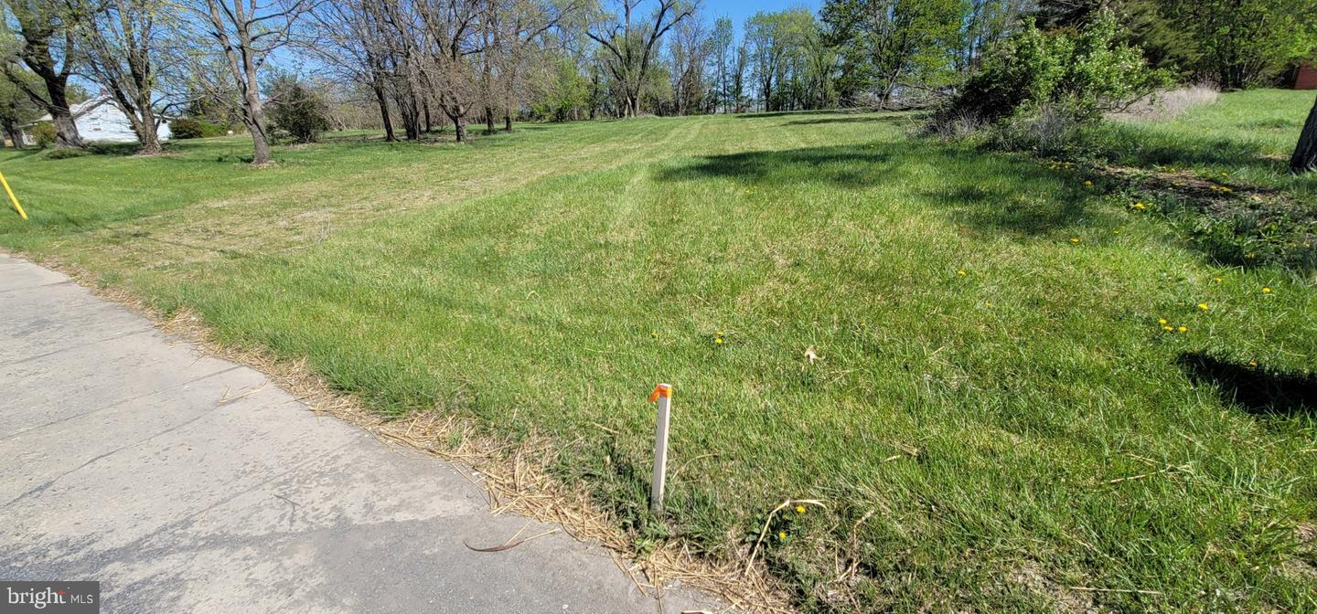 7632 MAIN ST, MIDDLETOWN, Virginia 22645, ,Land,For sale,7632 MAIN ST,VAFV2034294 MLS # VAFV2034294