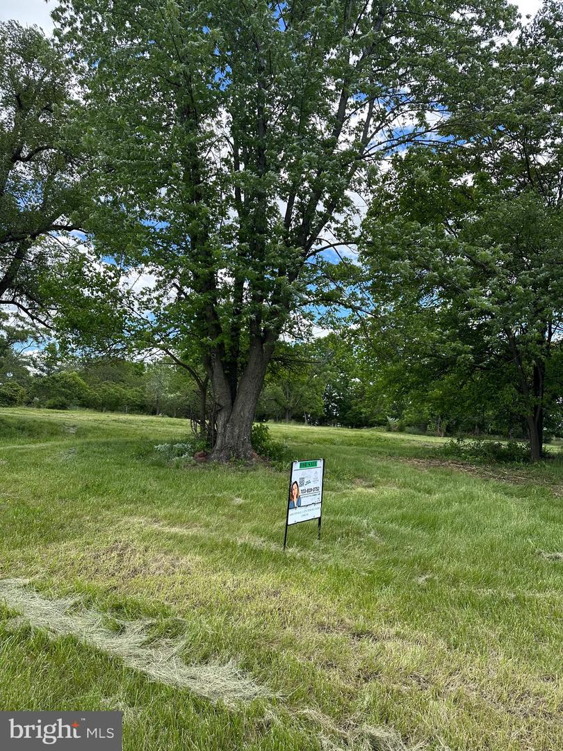 7632 MAIN ST, MIDDLETOWN, Virginia 22645, ,Land,For sale,7632 MAIN ST,VAFV2034294 MLS # VAFV2034294